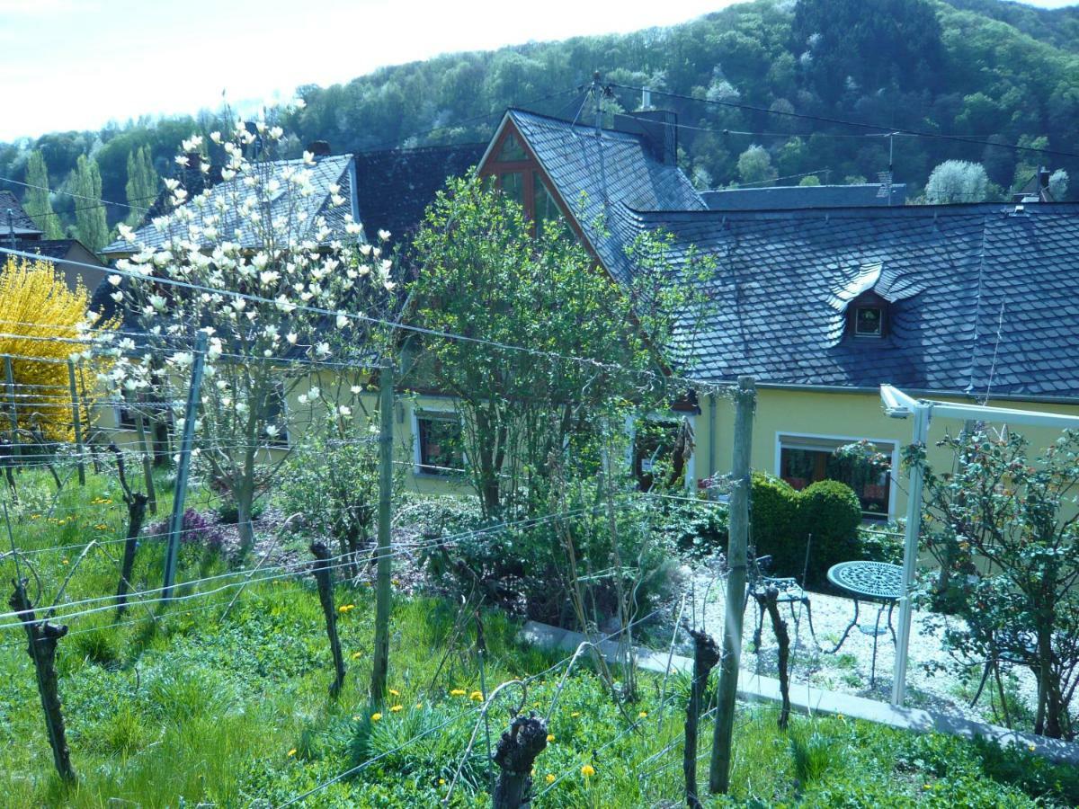 Pension Am Weinberg Мезеніх Екстер'єр фото